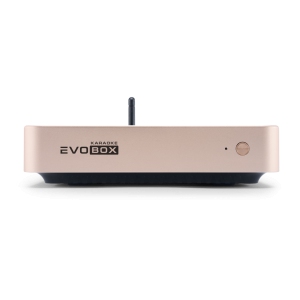 EVOBOX Classic караоке-система для дома в Учалах