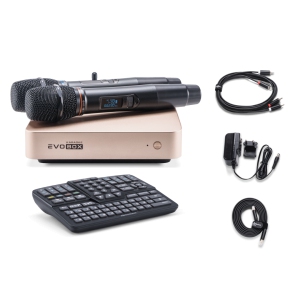 EVOBOX Classic караоке-система для дома в Учалах