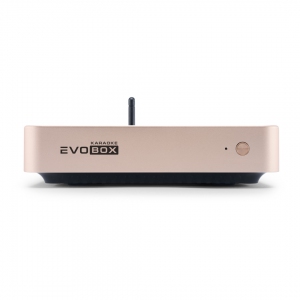 EVOBOX Plus караоке-система для дома в Учалах